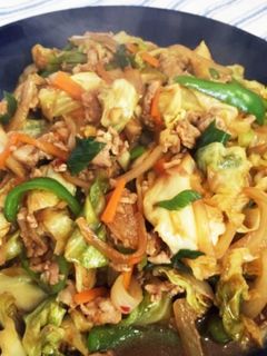 本格簡単おうちの回鍋肉(ホイコーロー)-レシピのメイン写真