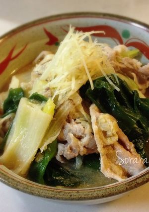生姜たっぷり♡豚肉と白ネギの味噌煮込み-レシピのメイン写真
