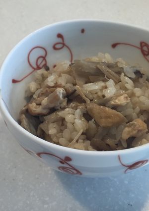 親鶏もも肉とゴボウの炊き込みごはん-レシピのメイン写真