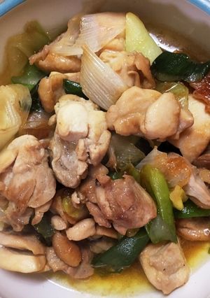 簡単 鶏もも肉と長ネギの炒め物-レシピのメイン写真