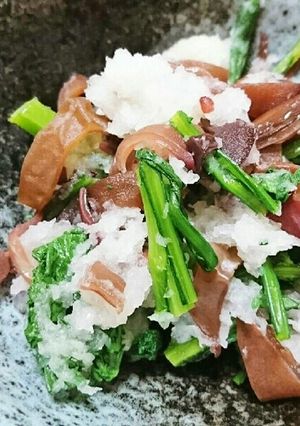 キクラゲと春菊のみぞれ和え-レシピのメイン写真