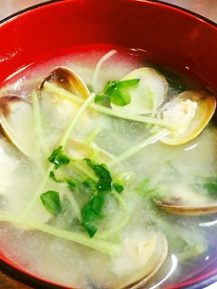 簡単絶品!あさりと豆苗の味噌汁(≧∇≦)-レシピのメイン写真