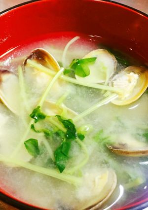 簡単絶品！あさりと豆苗の味噌汁（≧∇≦）-レシピのメイン写真