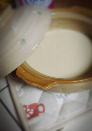 手作り豆乳豆腐☆ゼラチンと土鍋で☆-レシピのメイン写真