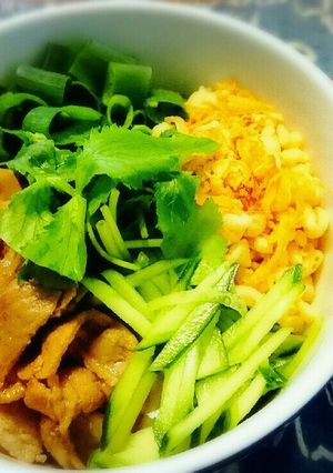 ベトナム風汁なしうどん-レシピのメイン写真