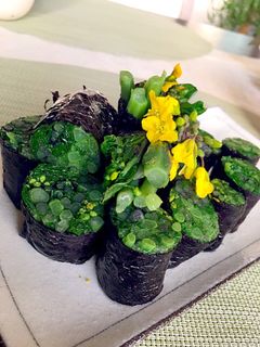 紅菜苔のお浸し海苔巻き-レシピのメイン写真