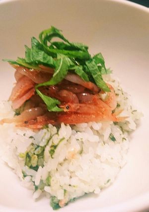 ❀トロットロ～生桜えびのっけ生海苔飯❀-レシピのメイン写真