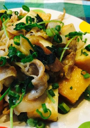 厚揚げ豆苗の豚こま甘醤油炒め〜生姜沢山〜-レシピのメイン写真