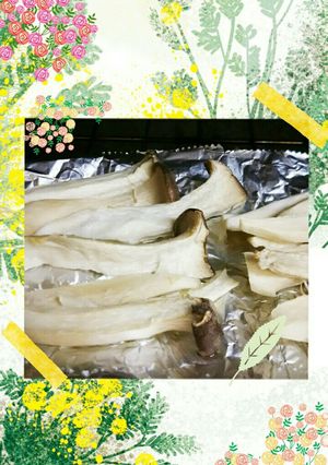 洗い物なし!素材を味わうエリンギの塩焼き-レシピのメイン写真