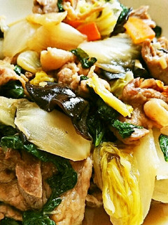 豚こま肉で八宝菜風-レシピのメイン写真