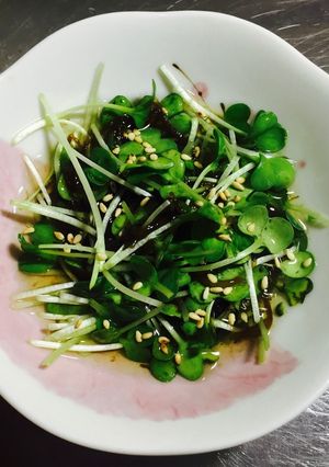 簡単健康!カイワレもずく和え(≧∇≦)-レシピのメイン写真