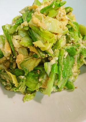 キャベツ焼き鳥甘タレ卵炒め-レシピのメイン写真
