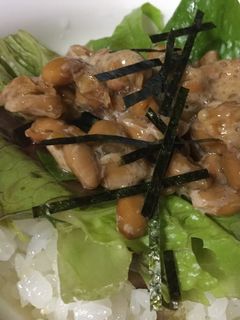サラダ風納豆ご飯-レシピのメイン写真