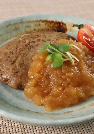 介護食　やわらかハンバーグみぞれあんかけ-レシピのメイン写真
