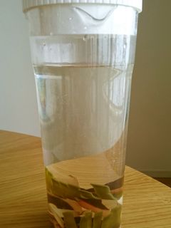 超簡単お出汁♪水出しだし水-レシピのメイン写真