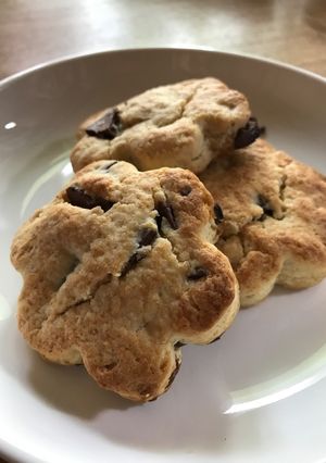 トースターで!簡単スコーン-レシピのメイン写真