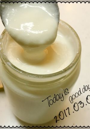 乳成分なし 手作り自家製 豆乳ヨーグルト-レシピのメイン写真