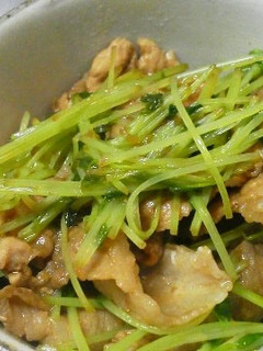 簡単生姜の豚と豆苗焼き-レシピのメイン写真