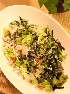 大根とジャコとカリカリ梅の和風サラダ-レシピのメイン写真