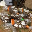 ロッキーロード風チョコサラミ