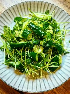 叩きキュウリと豆苗の旨塩サラダ-レシピのメイン写真