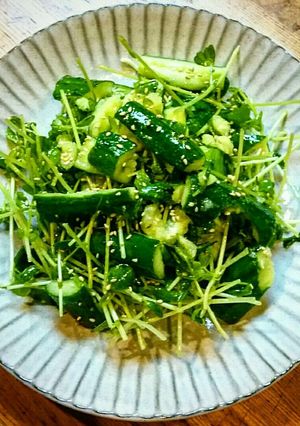 叩きキュウリと豆苗の旨塩サラダ-レシピのメイン写真