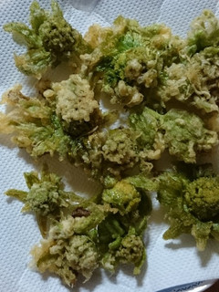 ふきのとうの天ぷら-レシピのメイン写真