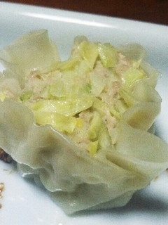 餃子?シュウマイ?-レシピのメイン写真