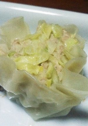 餃子？シュウマイ？-レシピのメイン写真