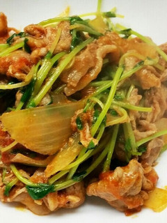 豚肉と豆苗のトマト煮-レシピのメイン写真
