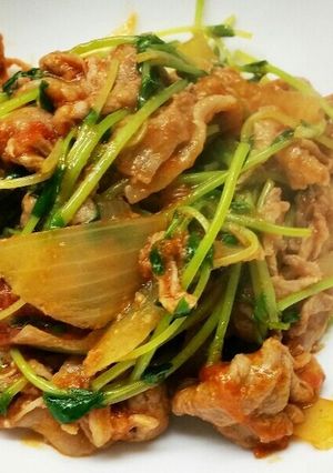 豚肉と豆苗のトマト煮-レシピのメイン写真