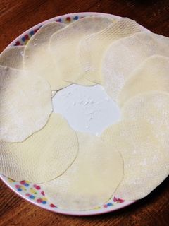 餃子の皮-レシピのメイン写真