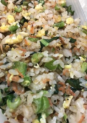 アミエビと季節のチャーハン-レシピのメイン写真