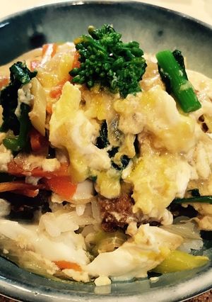 フンワリ玉子のヒレカツ丼-レシピのメイン写真