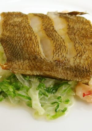 赤シタビラメのソテー　白菜クリームソース-レシピのメイン写真