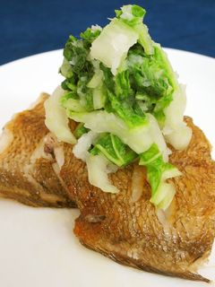 焼き赤シタビラメ 白菜おろしかけ-レシピのメイン写真