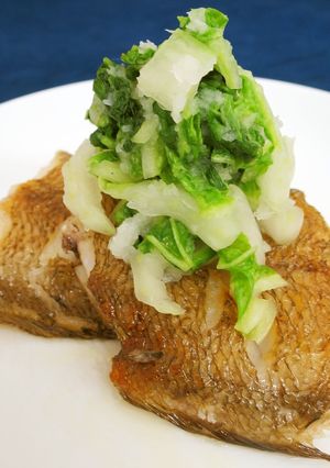 焼き赤シタビラメ　白菜おろしかけ-レシピのメイン写真