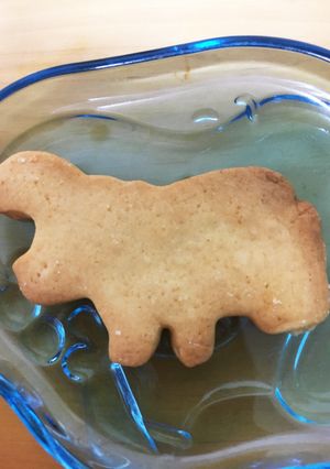 ほんのりメープルクッキー-レシピのメイン写真