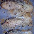 魚嫌いのキッズもOK☆鮭のオーブン焼き
