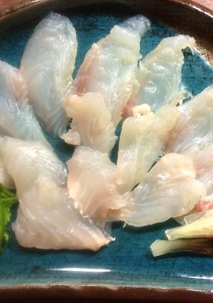 ほうぼうのお刺身-レシピのメイン写真