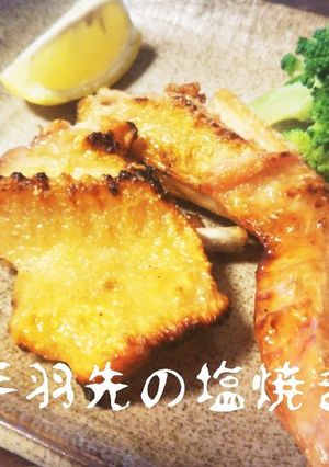 手羽先の塩焼き。食べやすい捌き方。-レシピのメイン写真