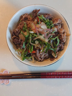 薬味のせ簡単牛丼-レシピのメイン写真