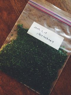 大量消費!まとめて便利パセリのみじん切り-レシピのメイン写真