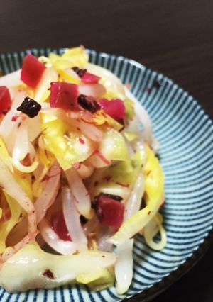 簡単もう一品！もやしの梅肉和え-レシピのメイン写真