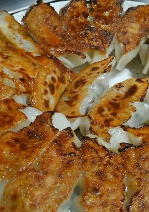 鹿肉餃子-レシピのメイン写真