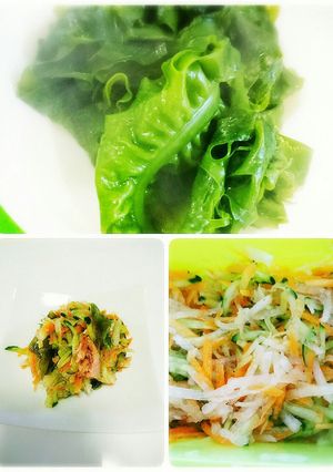 わかめと野菜のさっぱりサラダ-レシピのメイン写真