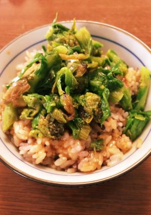 ほろにがふきのとうの卵かけごはん☆-レシピのメイン写真