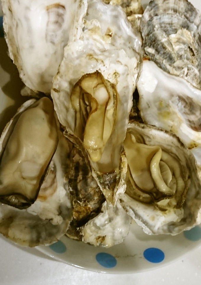 簡単！殻付き牡蠣のレンジ蒸し-レシピのメイン写真