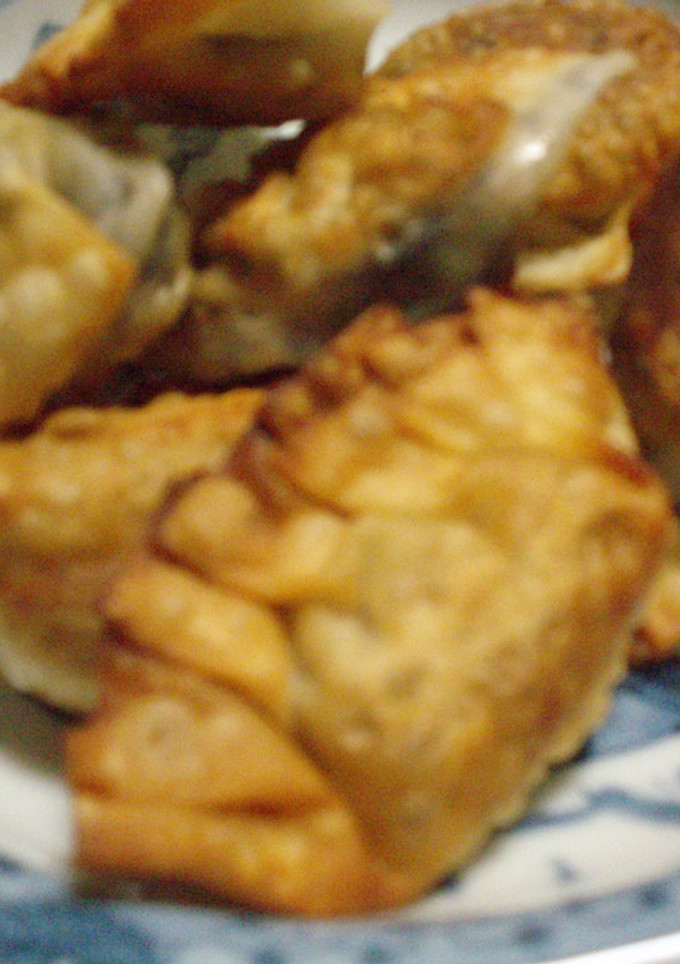 納豆・チーズの包み揚げ焼き☆-レシピのメイン写真