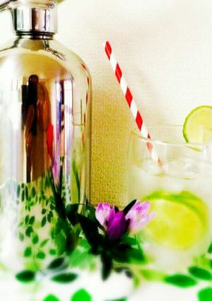 さわやか☆炭酸水のライムウォーター-レシピのメイン写真